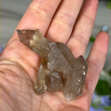 Load image into Gallery viewer, Small Smoky Quartz Elestial Cluster
