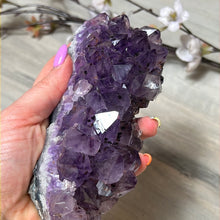 Load image into Gallery viewer, Amethyst Cluster Specimen
