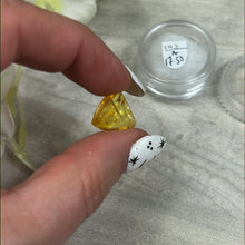 Load image into Gallery viewer, Insect in Amber Specimen
