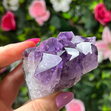 Load image into Gallery viewer, Amethyst Cluster Specimen
