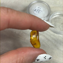 Load image into Gallery viewer, Insect in Amber Specimen
