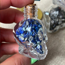 Load image into Gallery viewer, Mystery Skull Chip Bottle Jar
