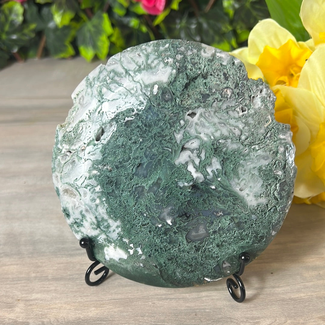 Moss Agate Druzy Disc Cookie