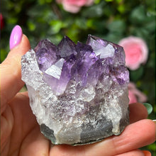 Load image into Gallery viewer, Amethyst Cluster Specimen
