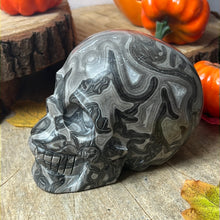 Load image into Gallery viewer, XL Map Jasper Skull
