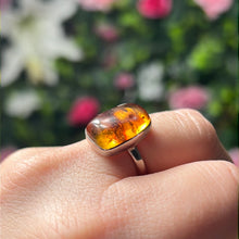 Load image into Gallery viewer, Amber 925 Sterling Silver Ring -  Size O
