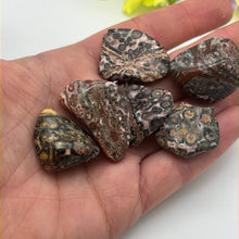 Load image into Gallery viewer, Leopard Skin Jasper polished tumble tumblestone
