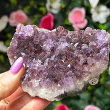 Load image into Gallery viewer, Amethyst Cluster Specimen
