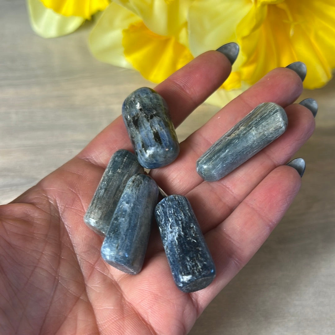 AA Kyanite Polished Tumble Tumblestone