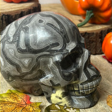 Load image into Gallery viewer, XL Map Jasper Skull
