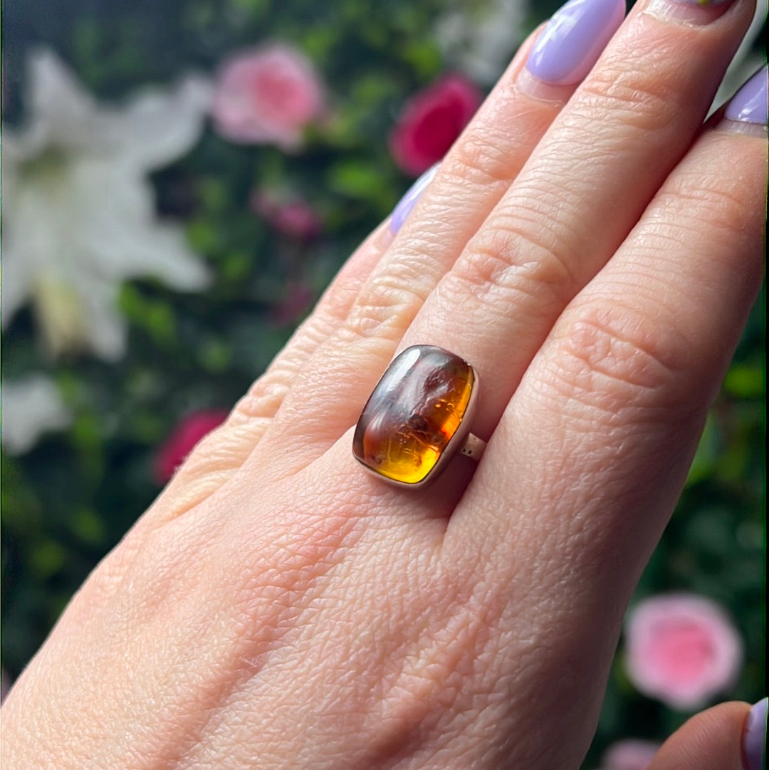 Amber 925 Sterling Silver Ring -  Size O