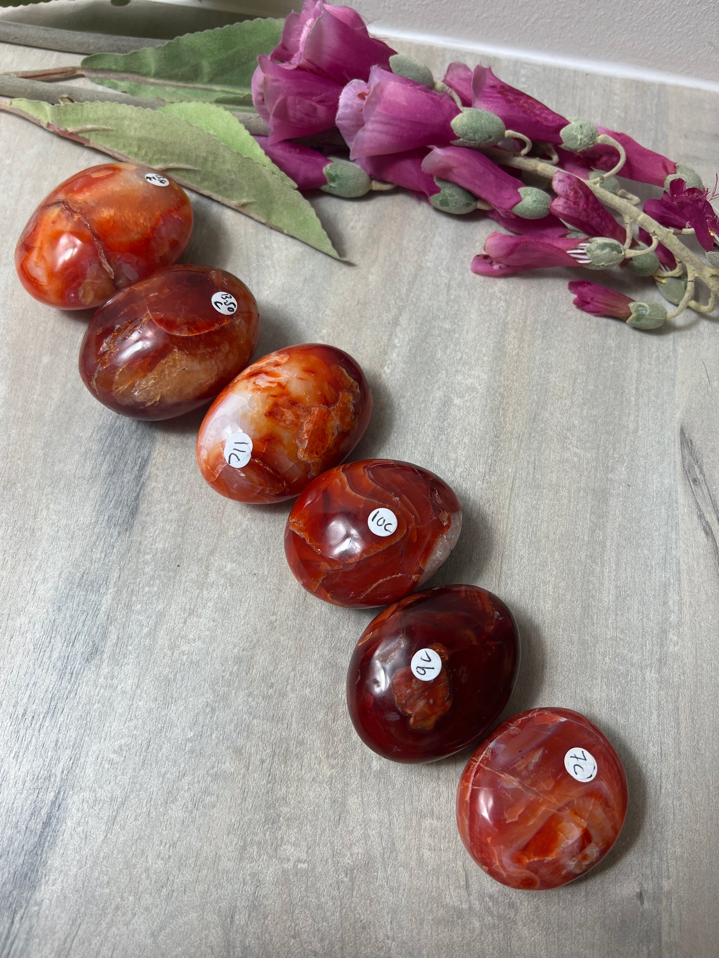 Stunning Large Carnelian Palm