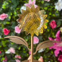 Load image into Gallery viewer, Large Yellow Fluorite Sunflower
