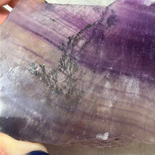 Load image into Gallery viewer, Dendritic Fluorite Specimen
