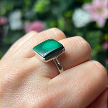 Load image into Gallery viewer, Malachite 925 Sterling Silver Ring -  Size N 1/2
