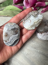 Load image into Gallery viewer, Mexican Crazy Agate Palm
