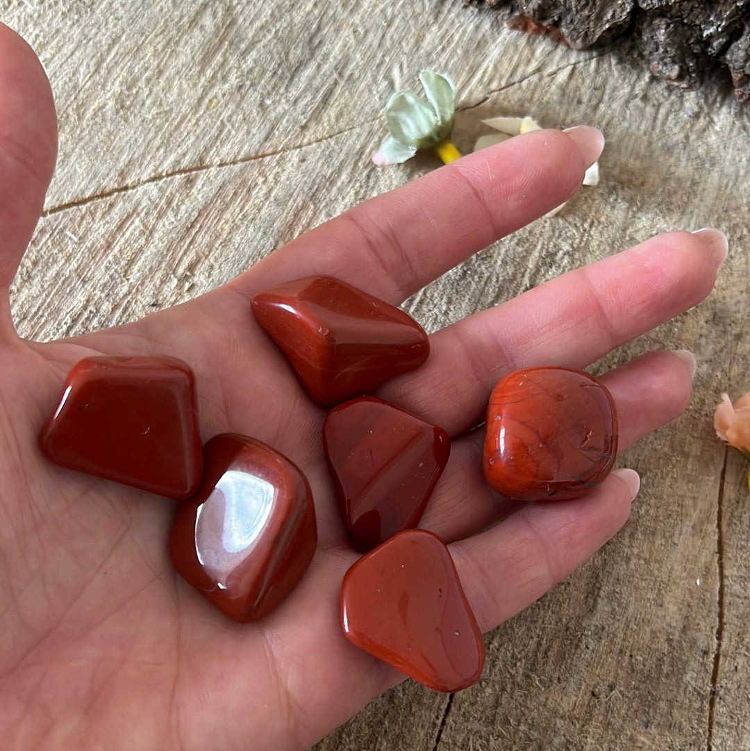 Red Jasper polished tumble tumblestone