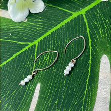 Load image into Gallery viewer, Pearl Dangles Hook -  925 Sterling Silver Earrings
