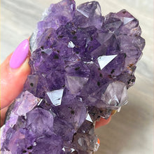 Load image into Gallery viewer, Amethyst Cluster Specimen
