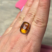 Load image into Gallery viewer, Amber 925 Sterling Silver Ring -  Size O
