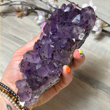 Load image into Gallery viewer, Amethyst Cluster Specimen
