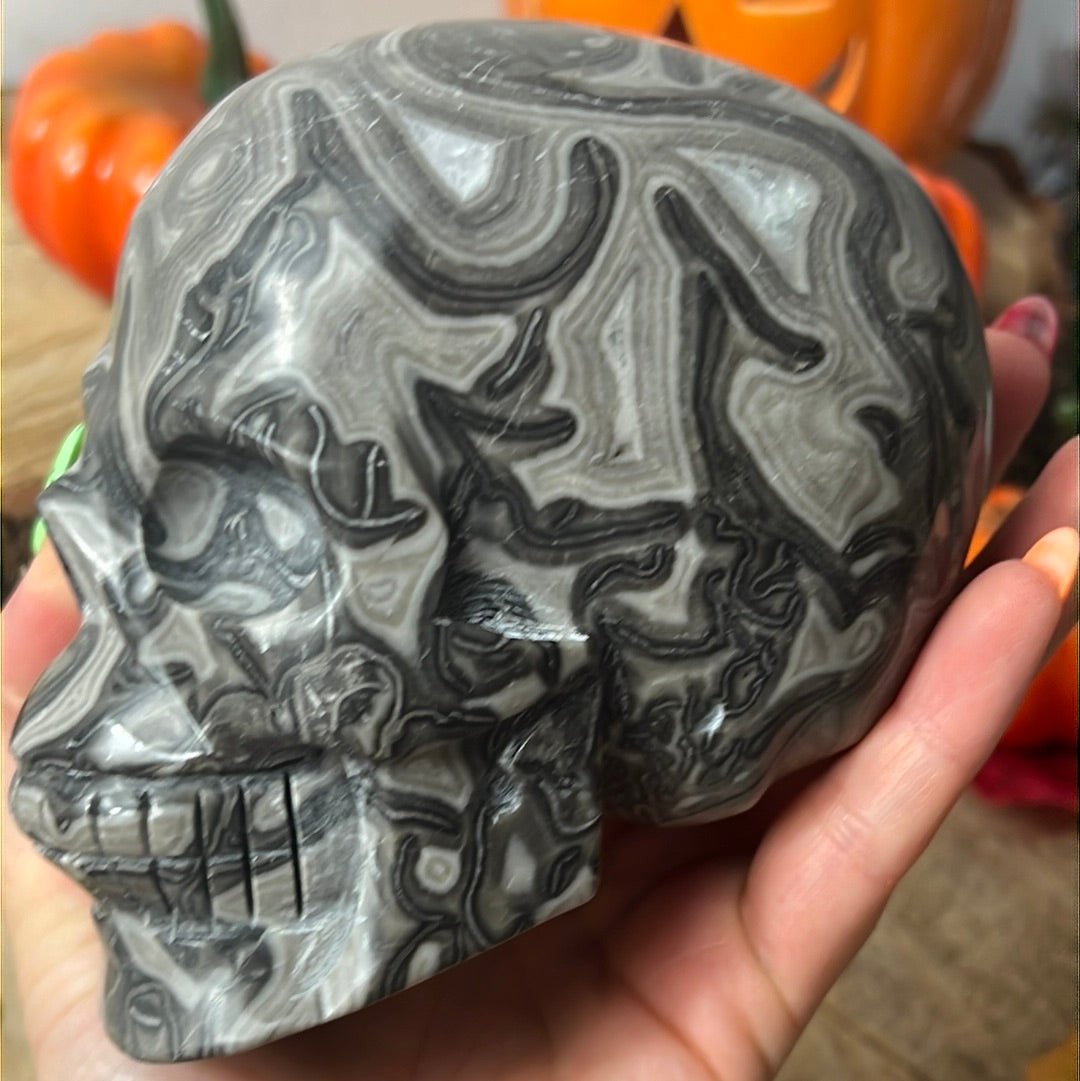 XL Map Jasper Skull