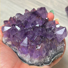 Load image into Gallery viewer, Amethyst Cluster Specimen
