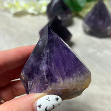 Load image into Gallery viewer, Amethyst Half &amp; Half Polished Raw Tower Points
