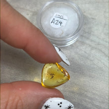 Load image into Gallery viewer, Insect in Amber Specimen
