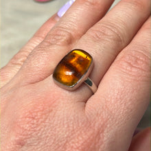 Load image into Gallery viewer, Amber 925 Sterling Silver Ring -  Size O
