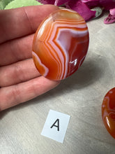 Load image into Gallery viewer, Carnelian Palm
