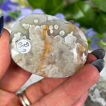 Load image into Gallery viewer, Mexican Crazy Agate Palm
