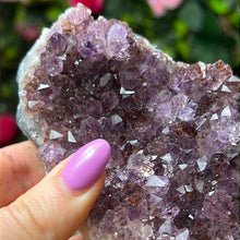 Load image into Gallery viewer, Amethyst Cluster Specimen
