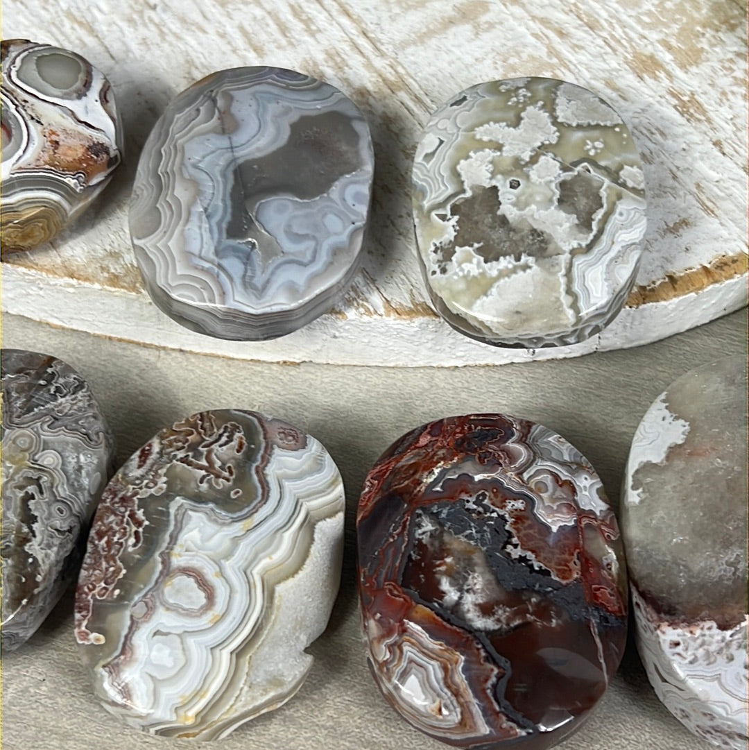 Mexican Crazy Agate Palm