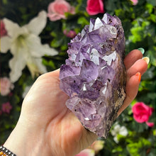 Load image into Gallery viewer, Amethyst Cluster Specimen
