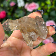 Load image into Gallery viewer, Small Smoky Quartz Elestial Cluster
