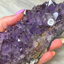 Load image into Gallery viewer, Amethyst Cluster Specimen
