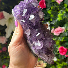 Load image into Gallery viewer, Amethyst Cluster Specimen
