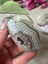 Load image into Gallery viewer, Mexican Crazy Agate Palm
