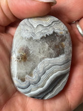 Load image into Gallery viewer, Mexican Crazy Agate Palm
