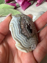 Load image into Gallery viewer, Mexican Crazy Agate Palm
