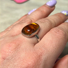 Load image into Gallery viewer, Amber 925 Sterling Silver Ring -  Size O
