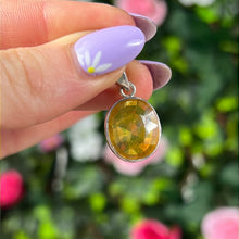 Load image into Gallery viewer, Yellow Sapphire - Sterling 925 Silver Pendant RARE
