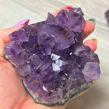 Load image into Gallery viewer, Amethyst Cluster Specimen
