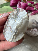 Load image into Gallery viewer, Mexican Crazy Agate Palm
