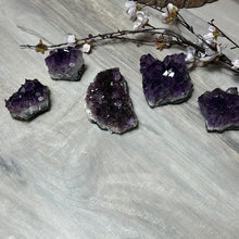 Load image into Gallery viewer, Amethyst Cluster Specimen
