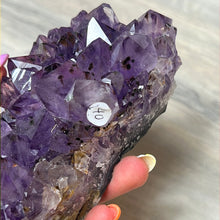 Load image into Gallery viewer, Amethyst Cluster Specimen
