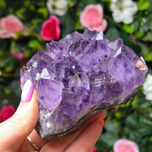 Load image into Gallery viewer, Amethyst Cluster Specimen
