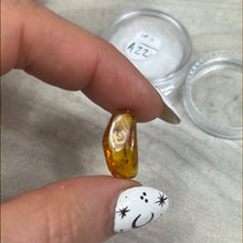 Load image into Gallery viewer, Insect in Amber Specimen
