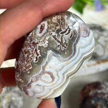 Load image into Gallery viewer, Mexican Crazy Agate Palm
